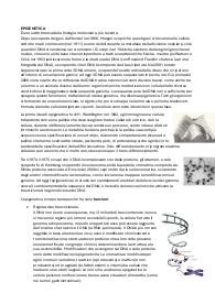 Genetica, appunti completi delle lezioni.