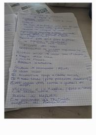 Pittura e rilievo Egizi
