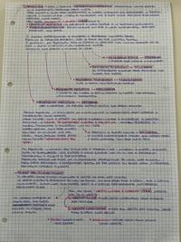 SOCIETÀ MULTICULTURALE (parte3)