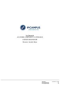 Paniere di ANATOMIA COMPARATA E CITOLOGIA, Prof GUIDETTI, ECAMPUS - Chiuse