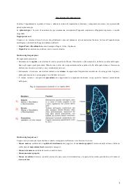 Anatomia I seconda parte