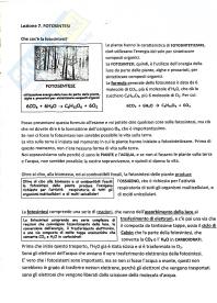 Fotosintesi-