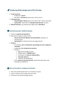 Endocrinologia - The male gonads