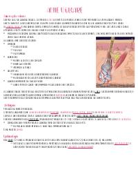Riassunto di dermatologia: Acne volgare