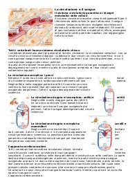 Riassunto il sangue e sistema circolatorio