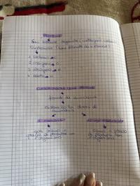 Proteine pt. 1