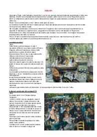 impressionisti puri, storia dell'arte con immagini e collegamenti per maturità