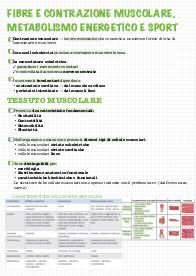 Appunti fibre e contrazione muscolare