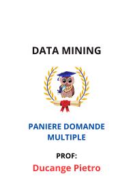 Paniere Completo di DATA MINING, Ducange Pietro, 2025 - RISPOSTE MULTIPLE