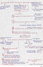 Divisone cellulare, cito dieresi, ciclo cellulare, controllo del ciclo Cdk, replicazione DNA