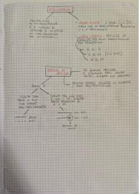 Introduzione ai Problemi File Based, Archivi e Progettazione Concettuale di Basi di Dati, Modello E/R