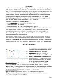 Riassunto capitolo 21 Monesi - Istologia (Emopoiesi)
