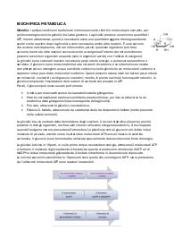 Biochimica metabolica, appunti delle lezioni completi.