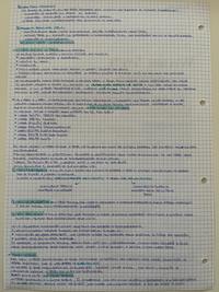 WELFARE STATE (parte2)