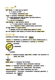 Schema Api
