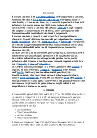 Il corpo umano
