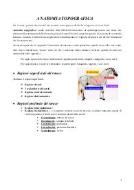 Anatomia topografica veterinaria di tronco e collo