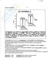 Schema Z
