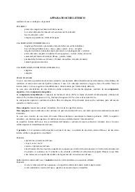 APPARATO SCHELETRICO