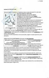 Ciclo C4 e Cam