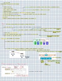 Schema Protocollo 802 3 VLAN Virtual Lan