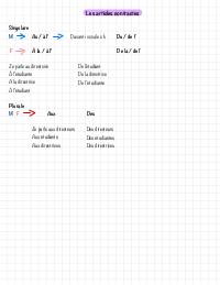 Articoli-francese