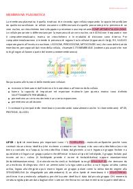 Sbobine/Appunti di Citologia-Istologia (prima parte di Citologia)