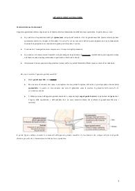 Anatomia I quinta parte