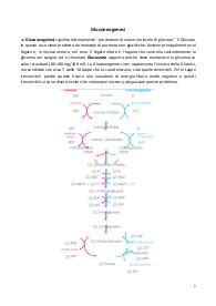 Punti chiave su Biochimica parte VIII (gluconeogenesi)