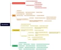 mappa Baudelaire