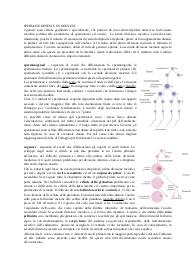 EMBRIOLOGIA
