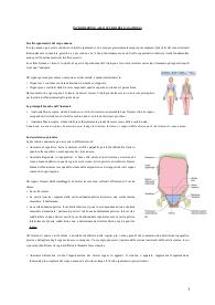 Anatomia I prima parte