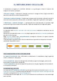 Metabolismo cellulare - biochimica