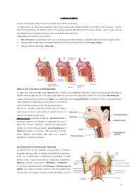 Anatomia I sesta parte