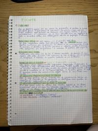Filosofia 5 anni liceo, fitche