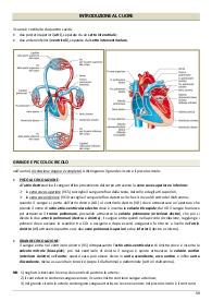 Cuore