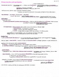Appunti teorie antropologiche